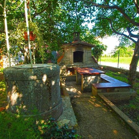 Apartment Sanja Near The Sea, Spacious And Green :) 普拉 外观 照片